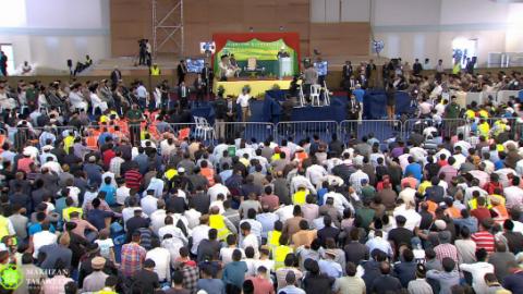 jalsa uk 2016 inspection